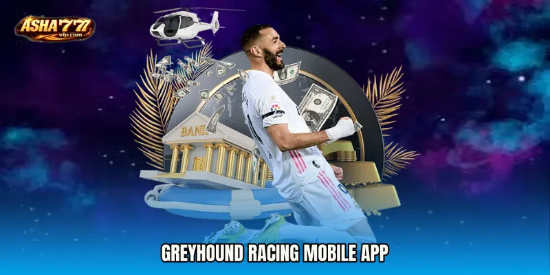 Greyhound Racing mobile app