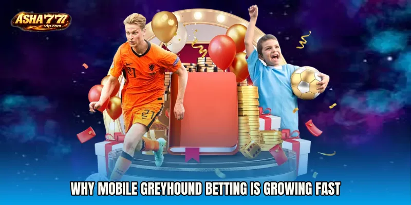 Why Mobile Greyhound Betting Is Growing Fast